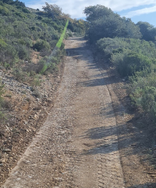 Travaux de terrassement Cassis (13)